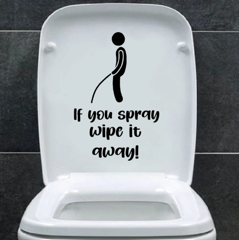 6 Steps To Toilet Training Boys